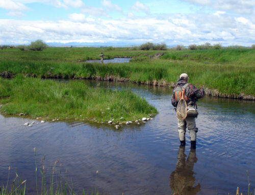 The Best Fly Fishing in Montana