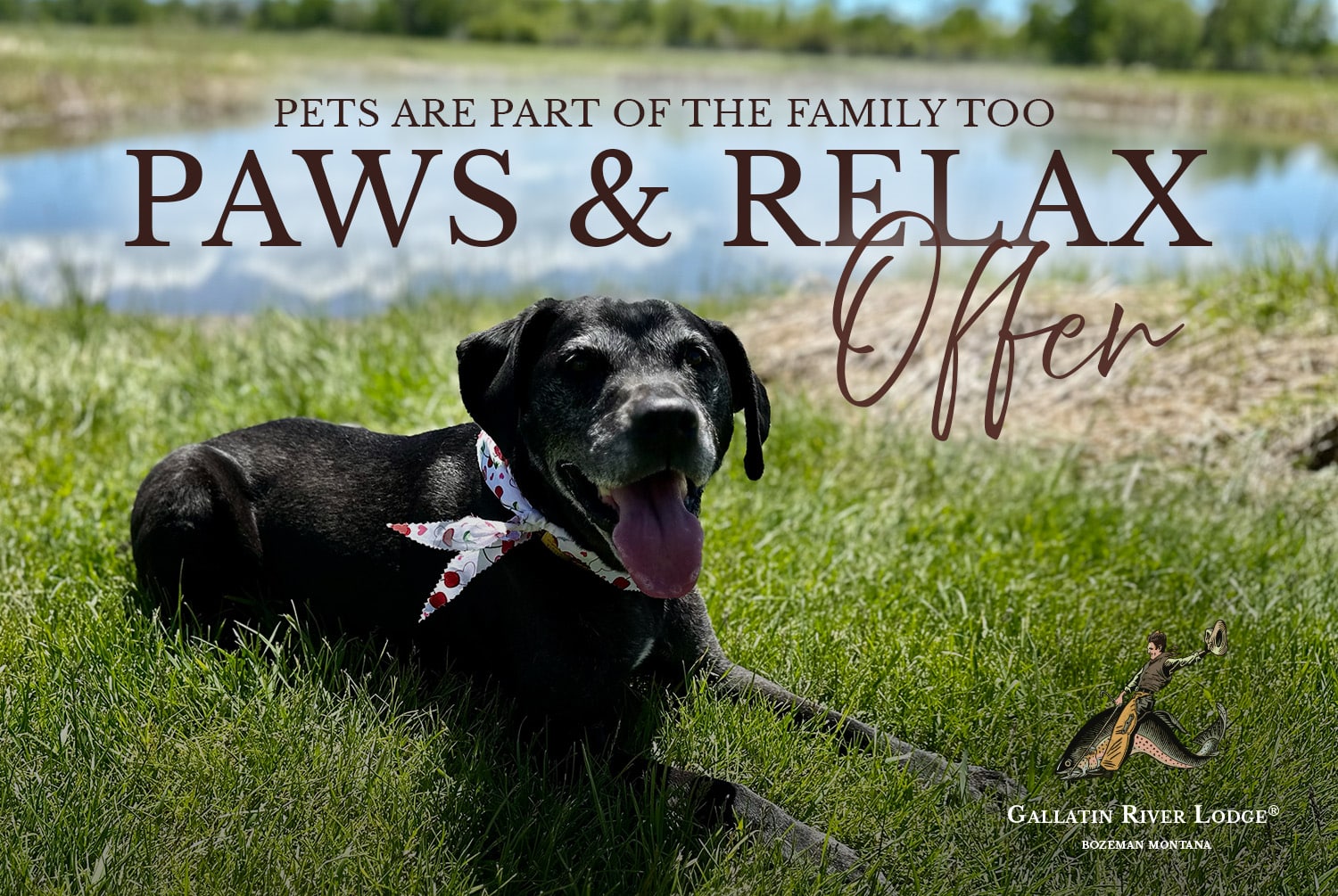 Black dog relaxing beside pond at Gallatin River Lodge