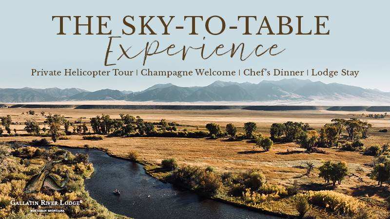 Sky-to-table: Helicopter tour, champagne, dinner, lodge stay.