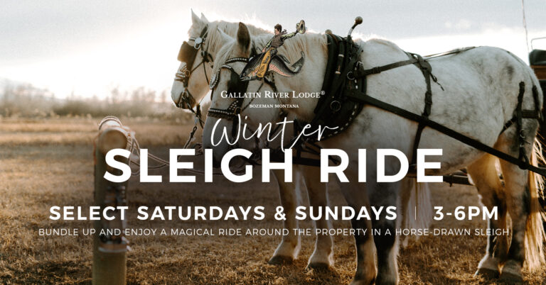 Horse-drawn sleigh ride at Gallatin River Lodge.