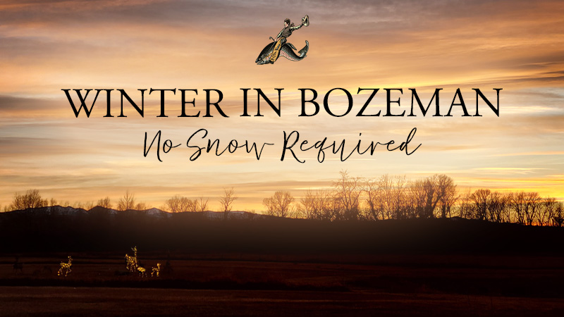 Winter sunset over Bozeman landscape, no snow.